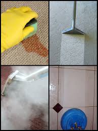 carpet cleaner Los Angeles